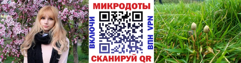 Псилоцибиновые грибы Magic Shrooms  Томари 